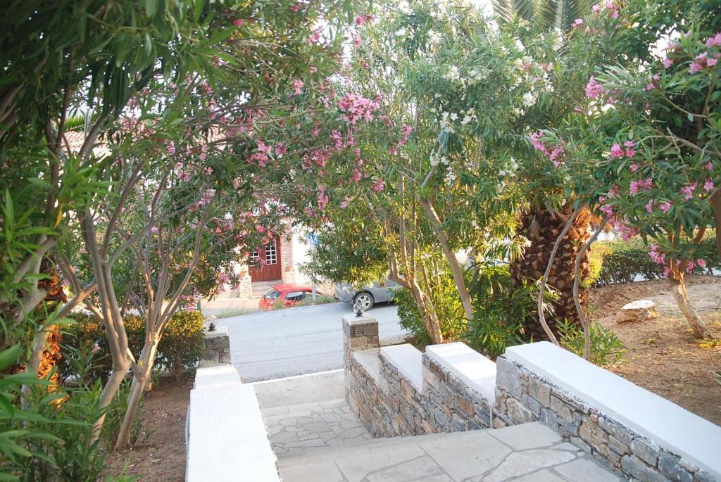 Anthemis Hotel Apartments Agia Paraskevi  Extérieur photo